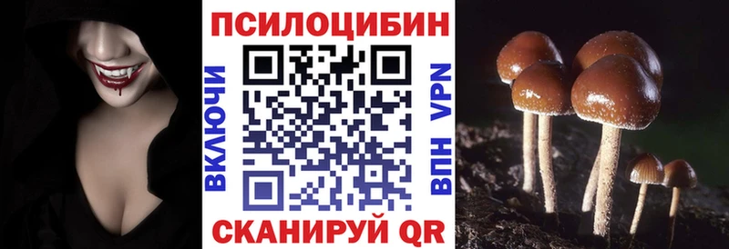 где купить наркотик  Семилуки  blacksprut ONION  Галлюциногенные грибы ЛСД 